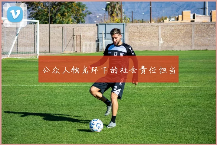 公众人物光环下的社会责任担当