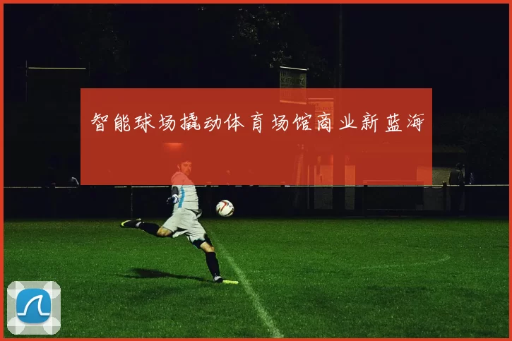 智能球场撬动体育场馆商业新蓝海