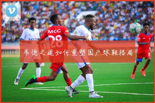 韦德之道如何重塑国产球鞋格局