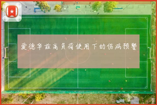 爱德华兹高负荷使用下的伤病预警