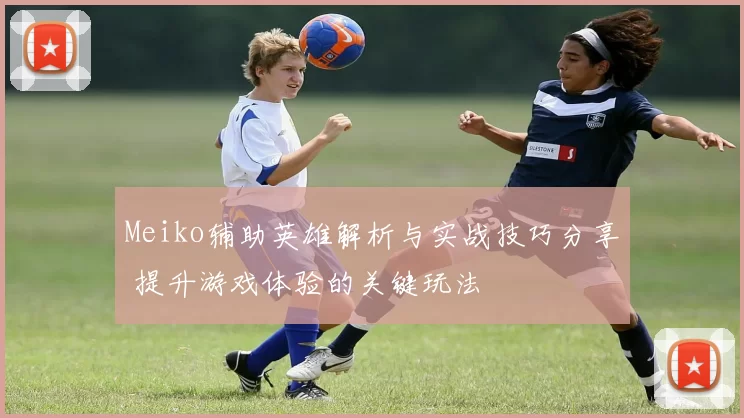 Meiko辅助英雄解析与实战技巧分享 提升游戏体验的关键玩法