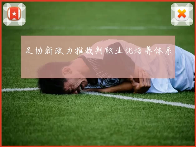 足协新政力推裁判职业化培养体系